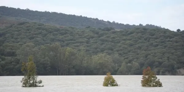 Imagen del pantano de Bornos, que superó su capacidad de embalsamiento la semana del 6 de febrero.