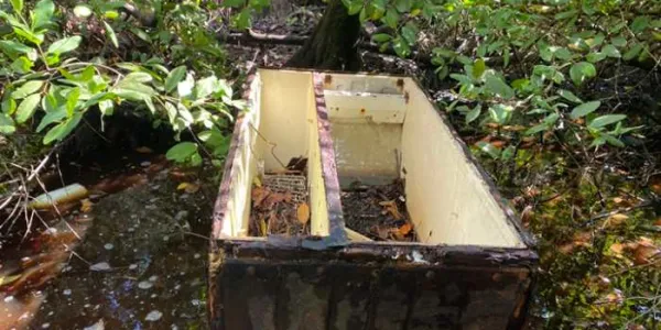 Resto de refrigerador depositado en el manglar Smith Channel, en la isla de San Andrés (Caribe colombiano) 