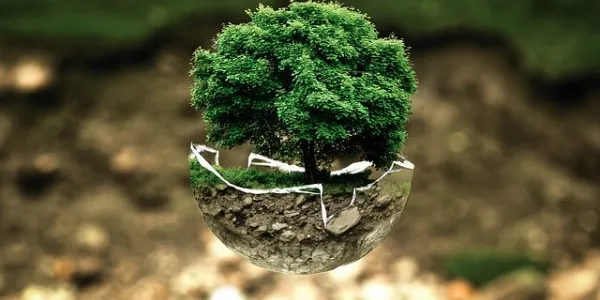 Medio ambiente roto