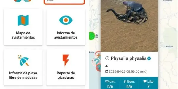 Una captura de MedusApp