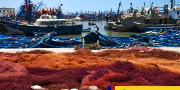 Barcos de pesca en un puerto 
