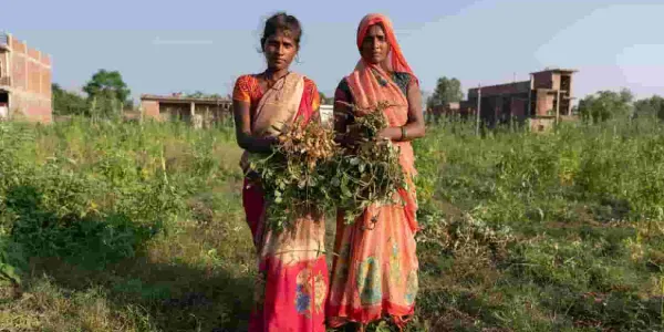 Mujeres agricultoras y cambio climático