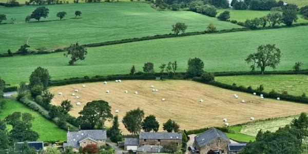 Imagen de un campo rural