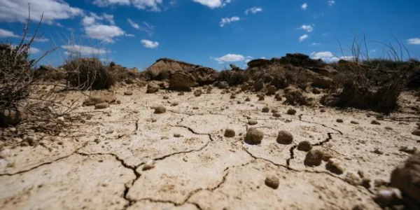 Terreno árido con suelo agrietado 