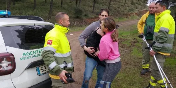 El perro Boro rescatado por agentes medioambientales tras el accidente ferroviario