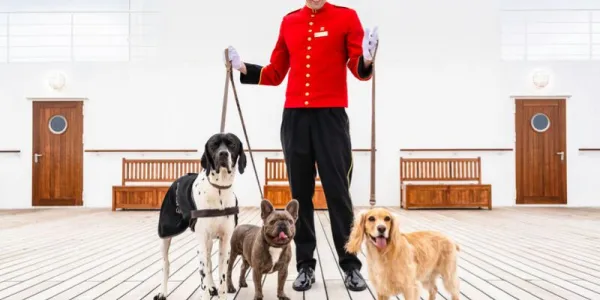 Primer crucero para perros