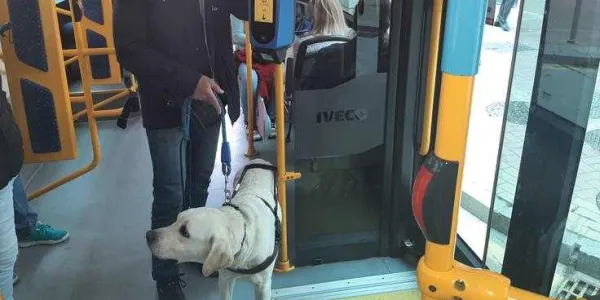 Una persona ciega es acompañado por su perro guía en un autobús público