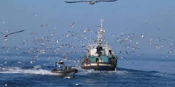 Lucha contra la pesca ilegal