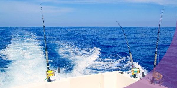 Reducción del 81 % en las horas de pesca entre 2022 y 2023