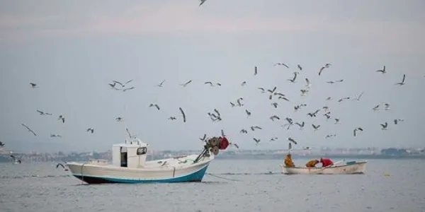 Por una pesca sostenible en toda Europa