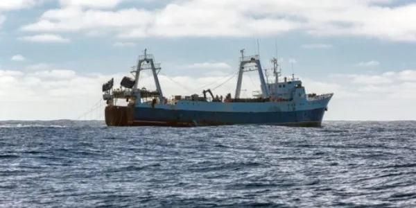 Barco pesquero