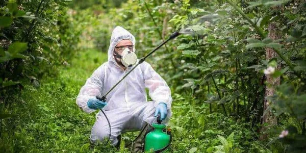 España y el uso de pesticidas