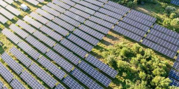 Paneles solares en medio de un bosque de árboles 