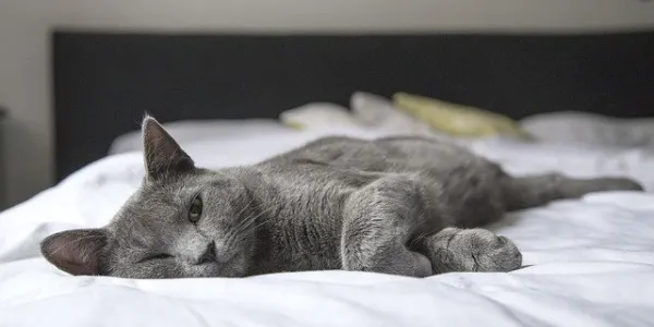 Preparar el dormitorio para relajarse y dormir bien