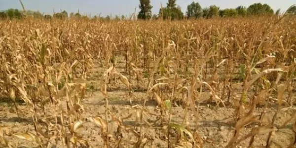 Medidas para proteger a los productores de alimentos