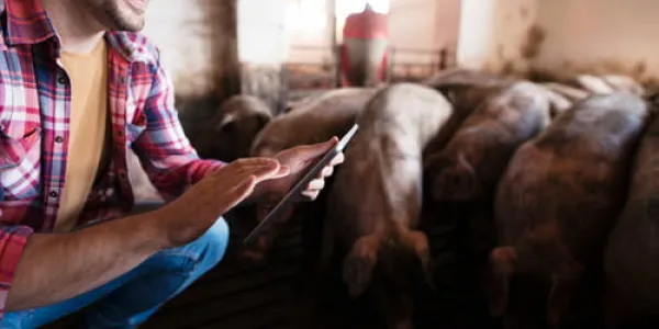 Qué son los productos zoosanitarios