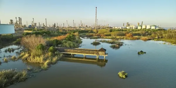 Protección de espacios naturales como Laguna Primera en Palos de Frontera, Huelva