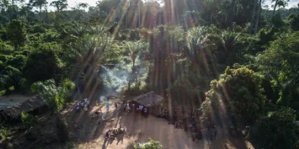 Proteger los bosques