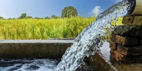 Agua