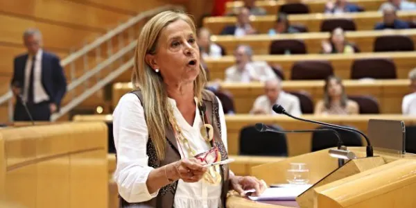 Carmela Silva, durante una sesión plenaria del Senado 