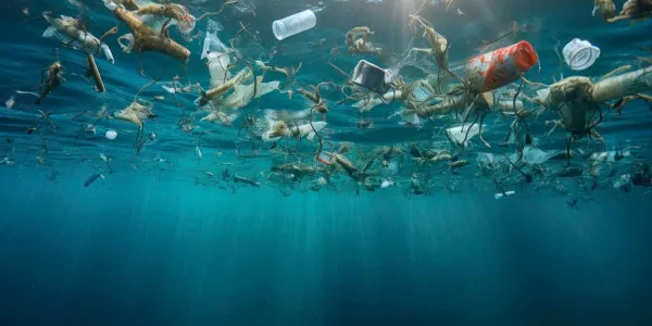 Crece la contaminación por los químicos sintéticos