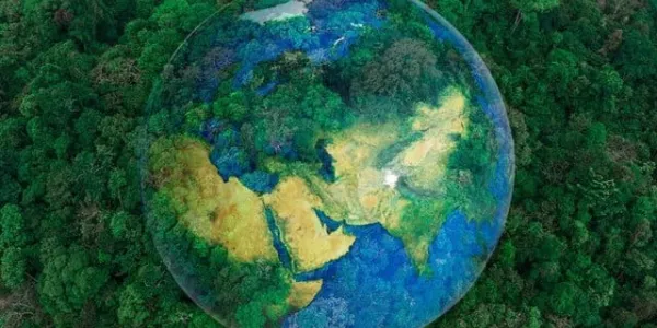WWF advierte sobre los recursos humanos y naturales