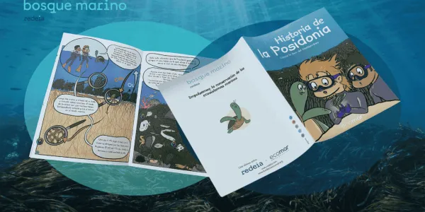 Talleres educativos por los ecosistemas marinos