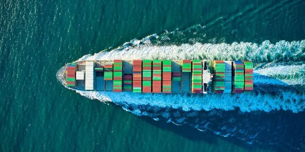 Reducción velocidad barcos por la vida marina