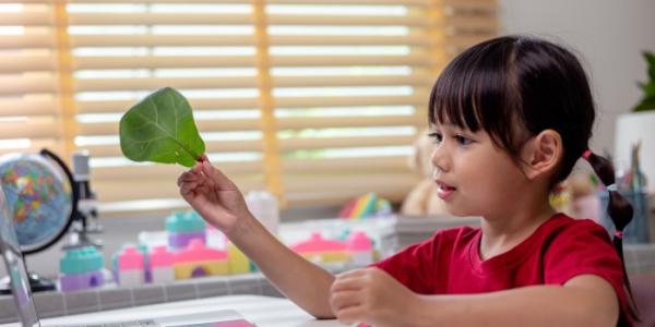 Menores extranjeros no acompañados
