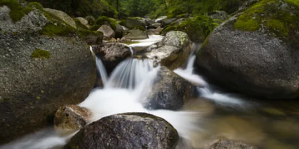 La materia orgánica ensucia los ríos y arroyos