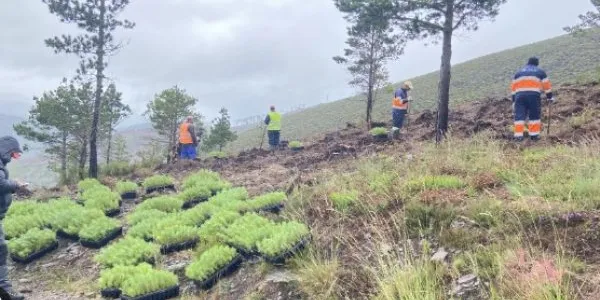 Así es la lucha del Santander contra la deforestación