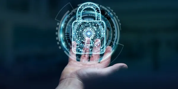 Sector digital