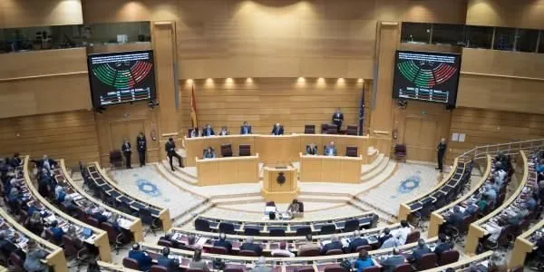 El Senado votando para decir no al despido por discapacidad sobrevenida