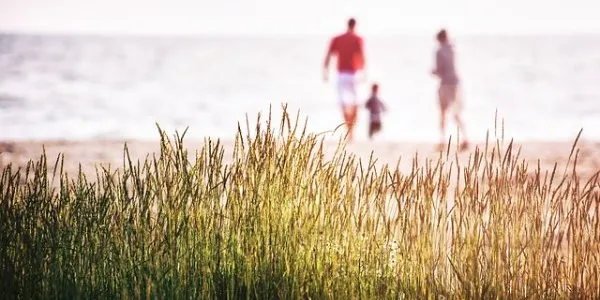 Familia paseando por el campo