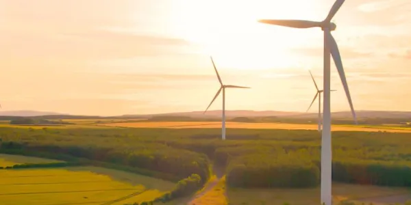 Imagen de un campo con molinos de viento