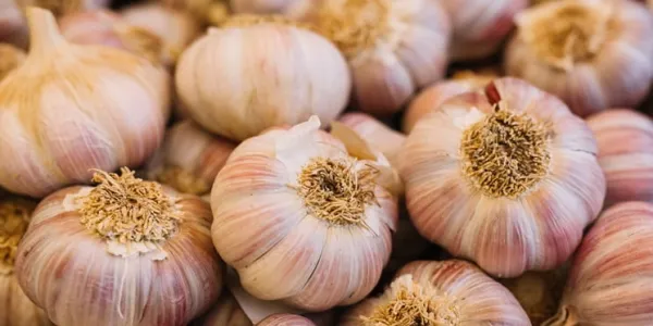 Beneficios del superalimento