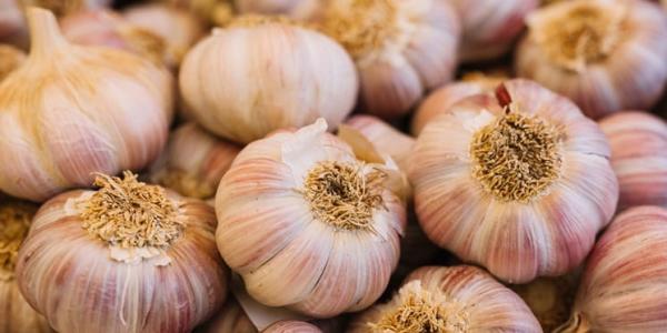 Beneficios del superalimento