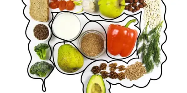 Alimentación para la microbiota intestinal