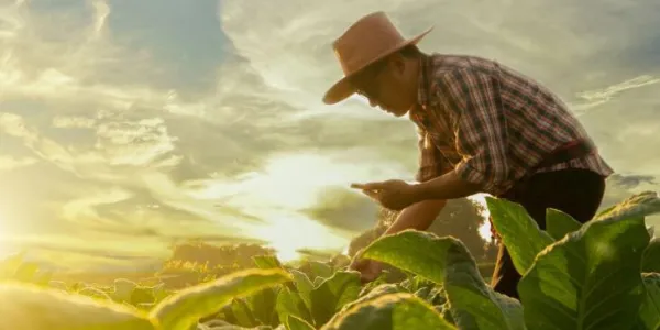 Imagen de un agricultor en el campo