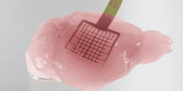 Detalle del transmisor de grafeno que se implanta en el cerebro