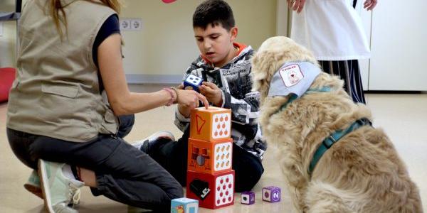 Niño con TEA en la terapia con animales del Hospital de Torrejón