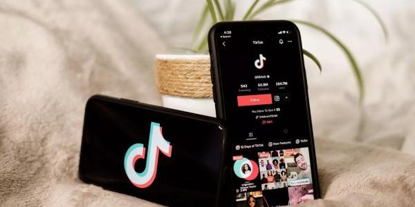 TikTok y la seguridad digital