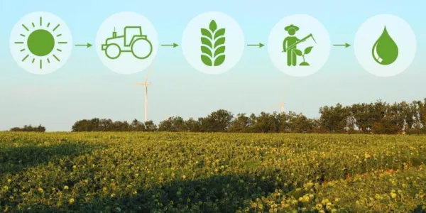 El Pacto Mundial impulsa la Sostenibilidad integrada en el sector agroalimentario