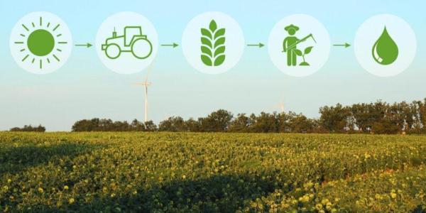 El Pacto Mundial impulsa la Sostenibilidad integrada en el sector agroalimentario