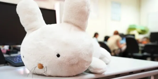 Mía, el conejo robótico mascota 