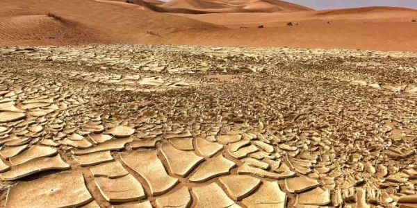 Cambio climático
