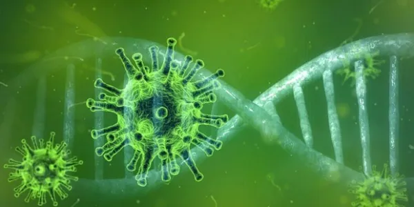 Coronavirus / Pixabay