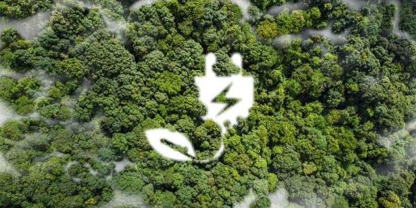 Enchufe sostenibilidad