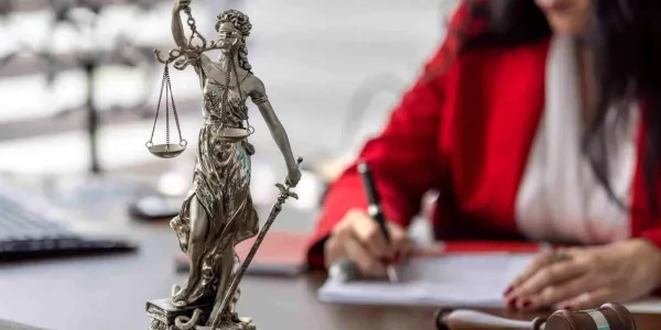 Violencia familiar y control de protección