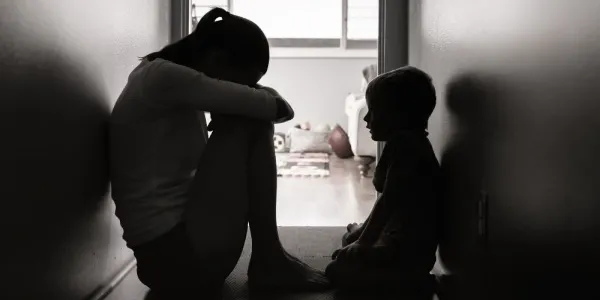 Primera Ley Integral contra la Violencia Vicaria